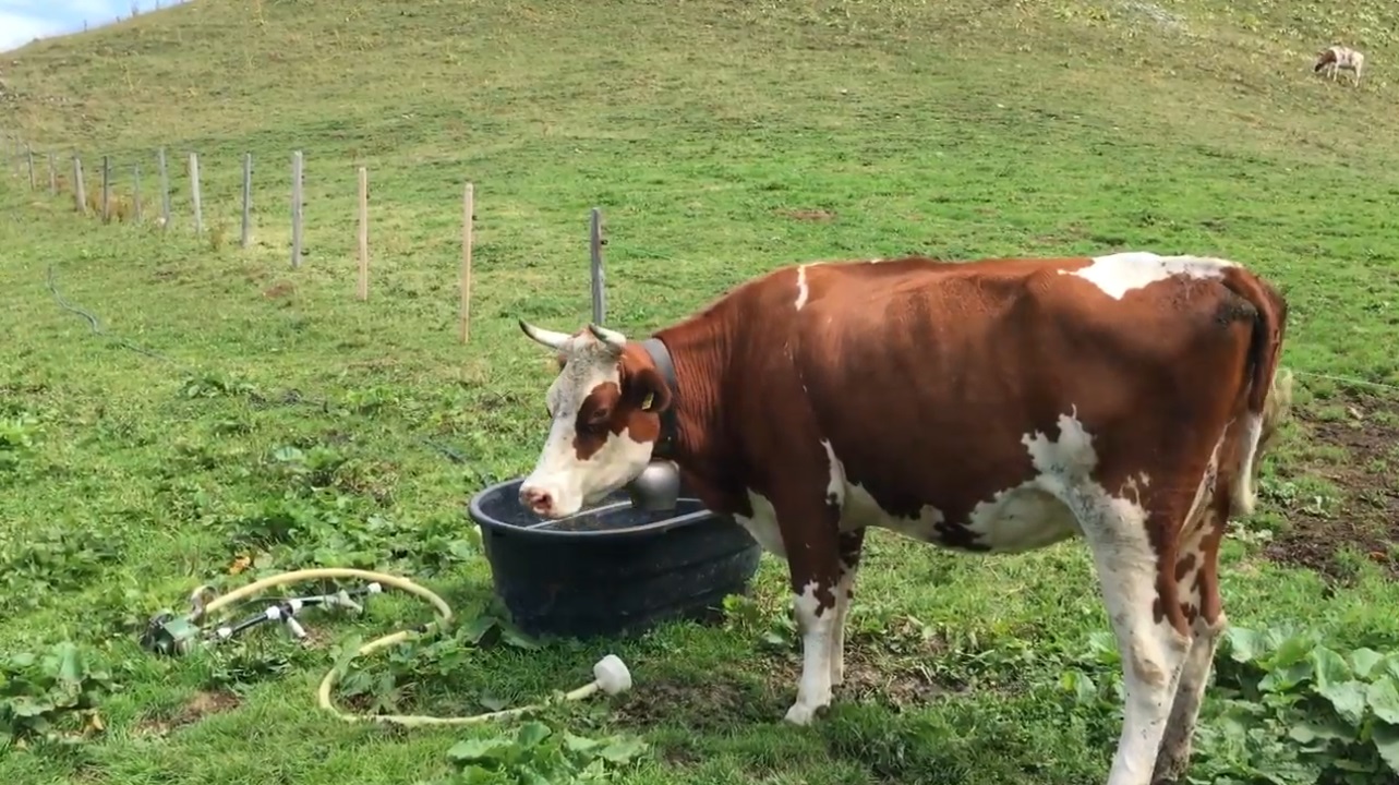 Le gouvernement vaudois ne veut pas généraliser les hydrorétenteurs